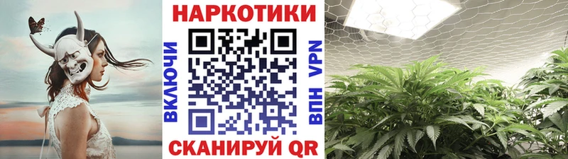 Купить наркотик Сенгилей Гашиш  А ПВП  МЕФ 