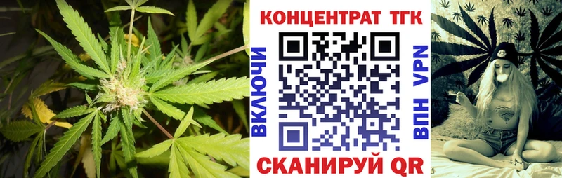 купить Сенгилей ТГК концентрат