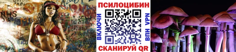 Галлюциногенные грибы Psilocybe Сенгилей