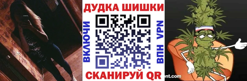 Бошки Шишки сатива  цена наркотик  Сенгилей 